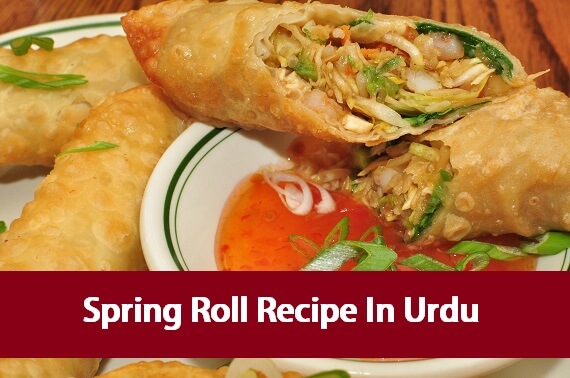 Spring Roll Recipe In Urdu